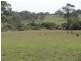 17 Wattle Tree Road, Dungog NSW 2420