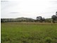 17 Wattle Tree Road, Dungog NSW 2420