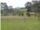 17 Wattle Tree Road, Dungog NSW 2420