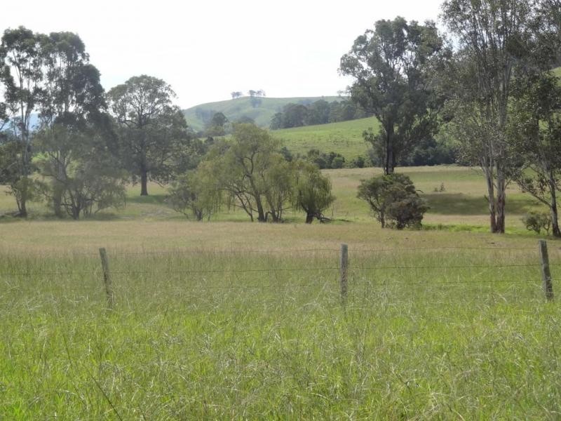 17 Wattle Tree Road, Dungog NSW 2420