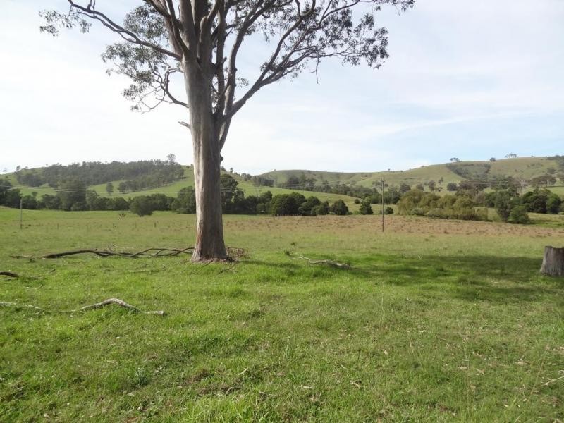 17 Wattle Tree Road, Dungog NSW 2420