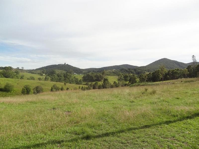 Lot 1 Booral Road, Girvan NSW 2425