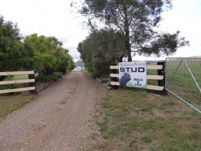 400C Standen Drive, Lower Belford NSW 2335