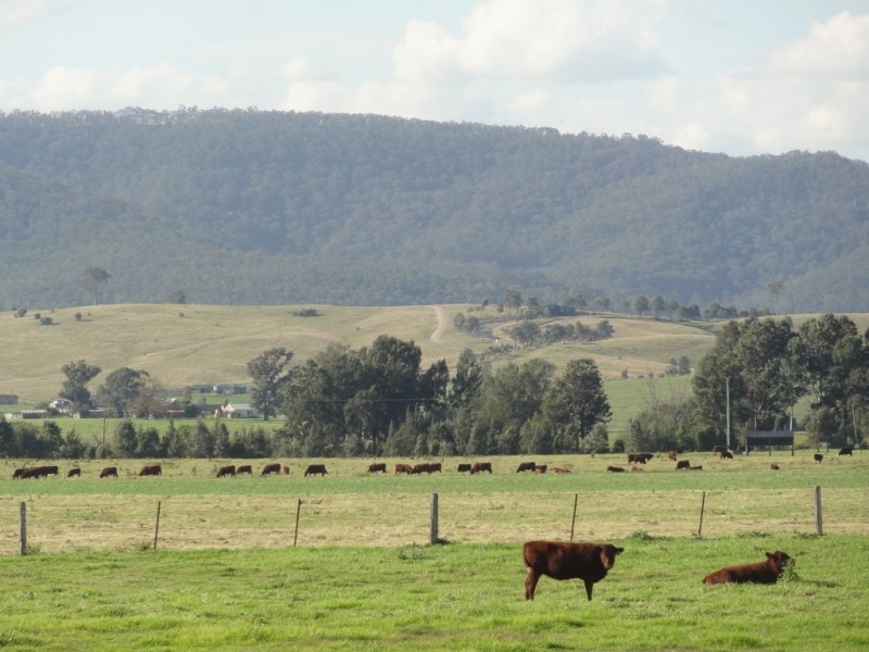 400C Standen Drive, Lower Belford NSW 2335