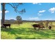 328 Brooks Road, Girvan NSW 2425