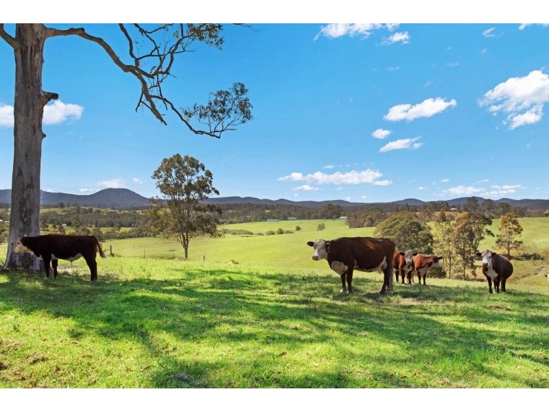 328 Brooks Road, Girvan NSW 2425