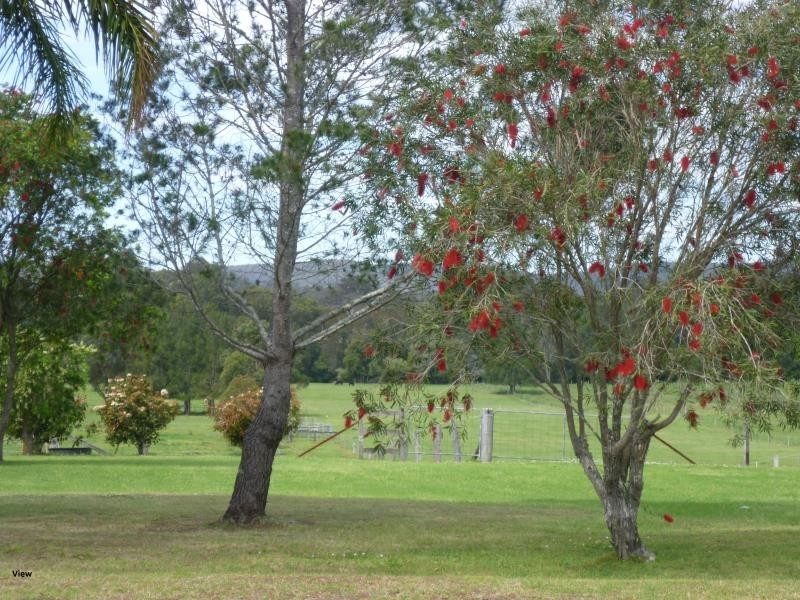 53 RUSSELL STREET, Clarence Town NSW 2321