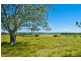 545 Duckenfield Road, Duckenfield NSW 2321