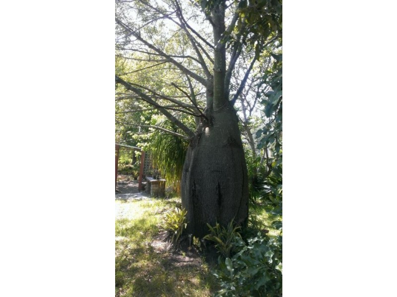 23 Rifle Street, Clarence Town NSW 2321