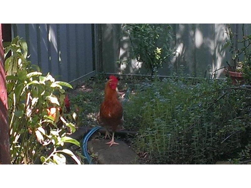 23 Rifle Street, Clarence Town NSW 2321