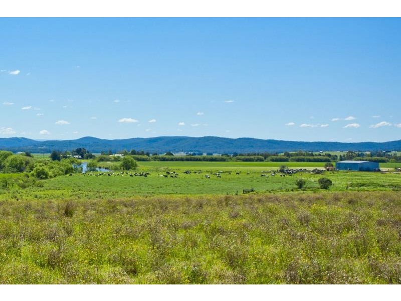 545 DUCKENFIELD ROAD, Duckenfield NSW 2321