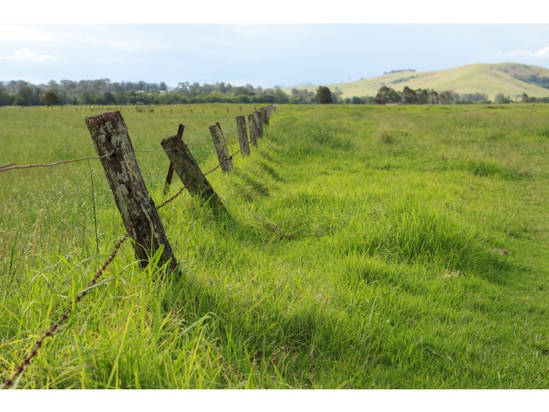 Clarence Town NSW 2321