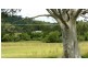 17 Wattle Tree Road, Dungog NSW 2420