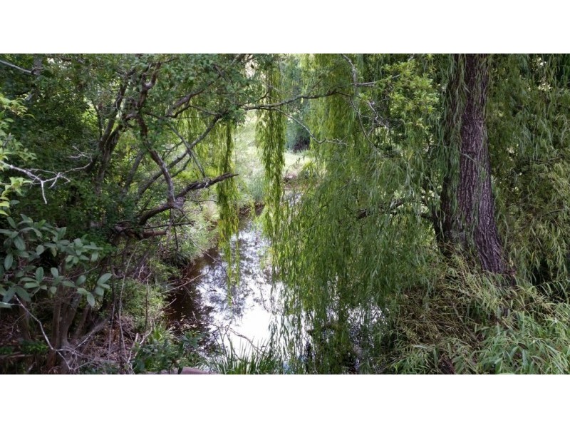 17 Wattle Tree Road, Dungog NSW 2420