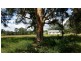 17 Wattle Tree Road, Dungog NSW 2420