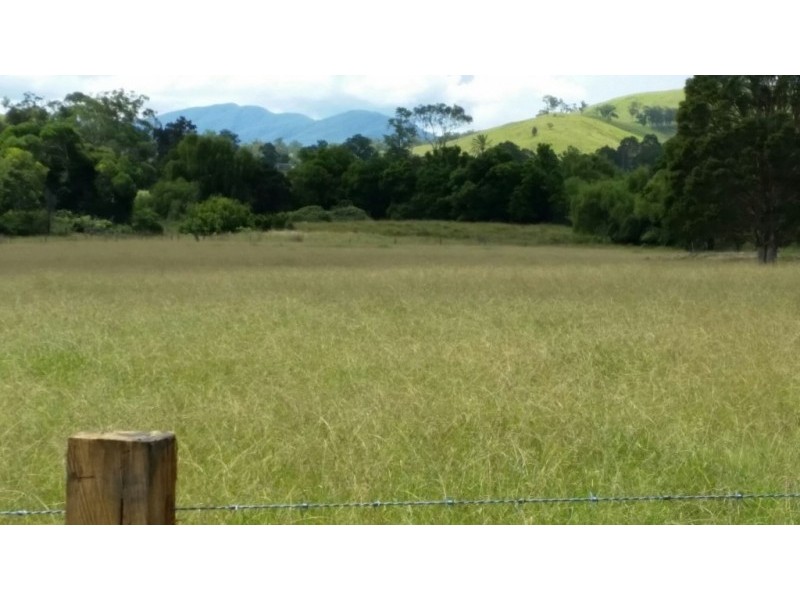 17 Wattle Tree Road, Dungog NSW 2420