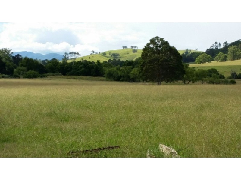 17 Wattle Tree Road, Dungog NSW 2420
