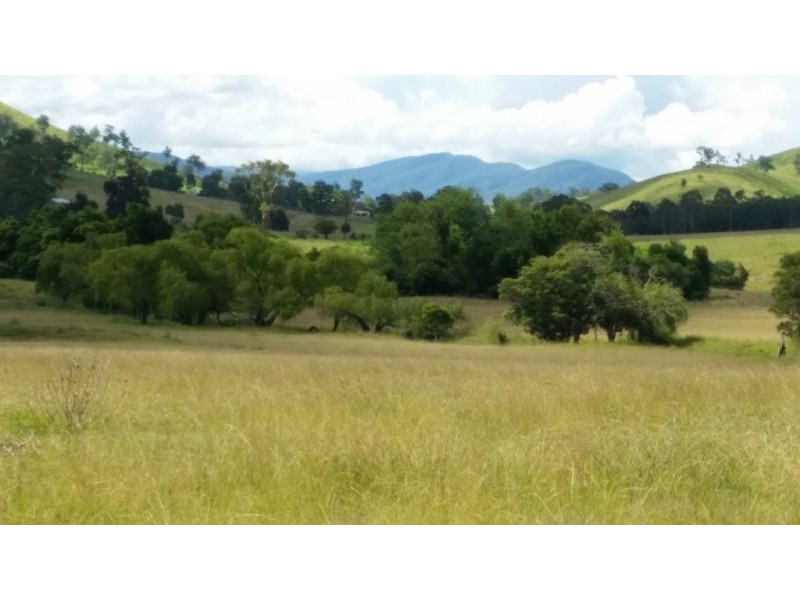 17 Wattle Tree Road, Dungog NSW 2420