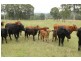 6842 Pacific Highway, Tea Gardens NSW 2324