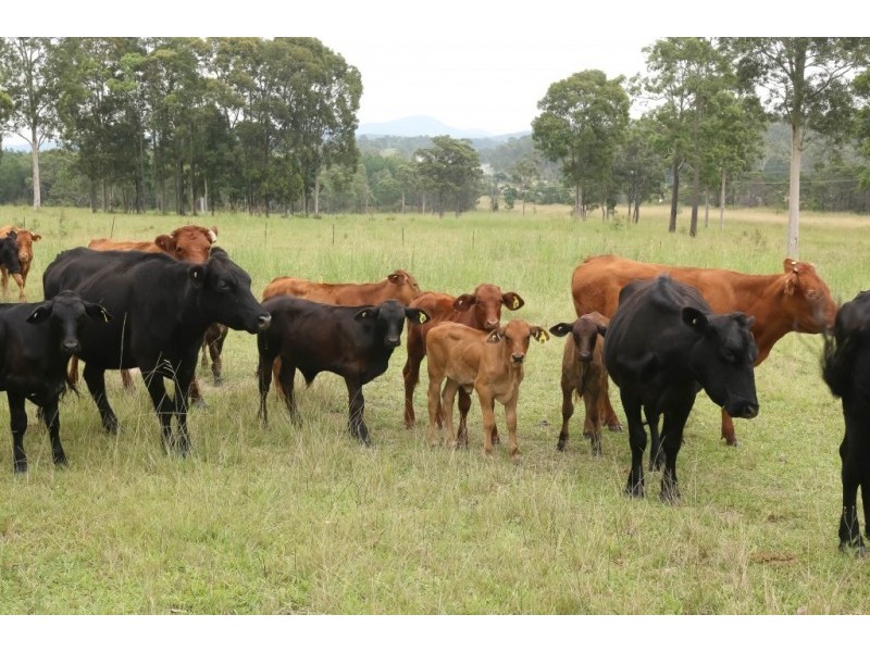 6842 Pacific Highway, Tea Gardens NSW 2324