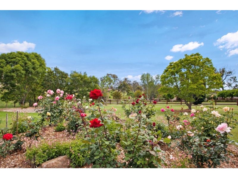 6 Sophia Jane Drive, Nelsons Plains NSW 2324