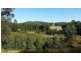 575 Black Camp Road, Clarence Town NSW 2321