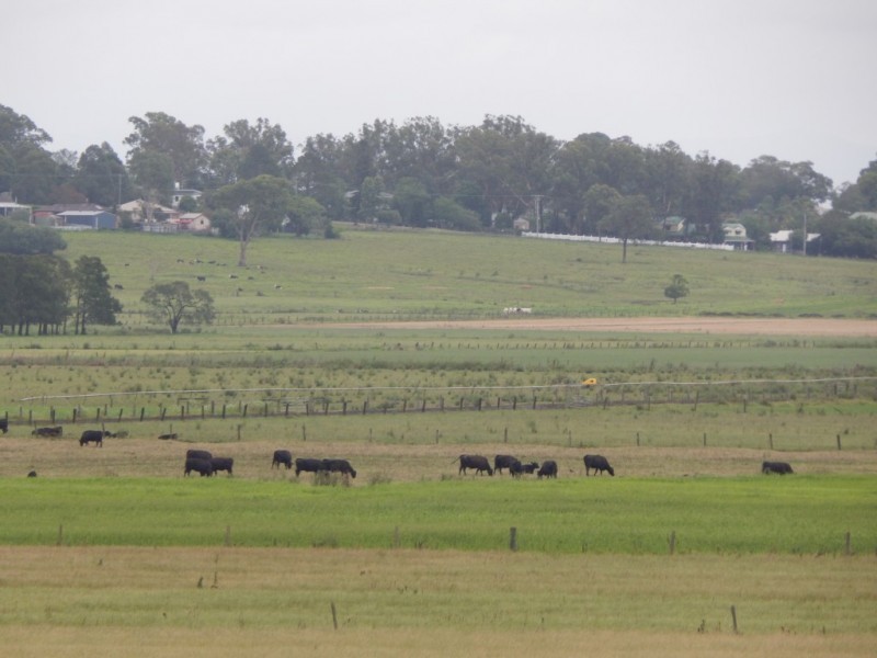 33 Ralston Road, Nelsons Plains NSW 2324