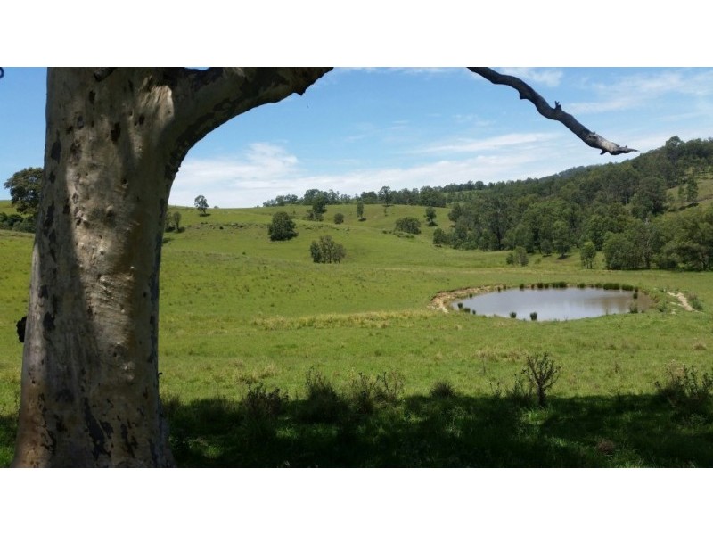 223 Hanleys Creek Road, Dungog NSW 2420