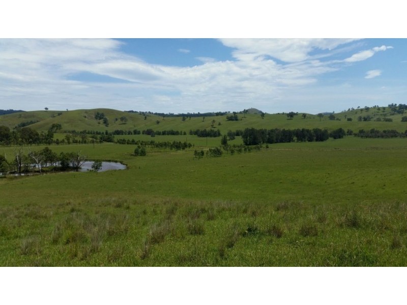 223 Hanleys Creek Road, Dungog NSW 2420