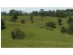 223 Hanleys Creek Road, Dungog NSW 2420