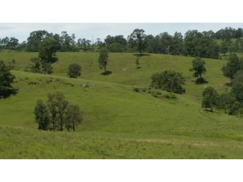 223 Hanleys Creek Road, Dungog NSW 2420