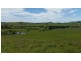 223 Hanleys Creek Road, Dungog NSW 2420
