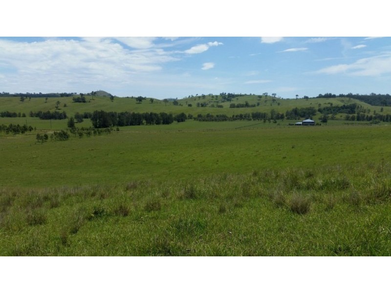 223 Hanleys Creek Road, Dungog NSW 2420