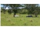 223 Hanleys Creek Road, Dungog NSW 2420