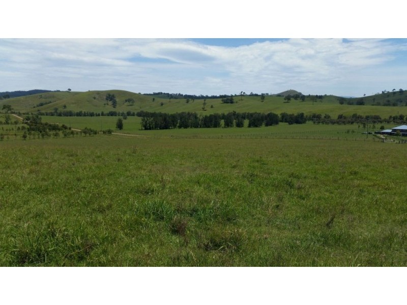 223 Hanleys Creek Road, Dungog NSW 2420