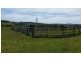 223 Hanleys Creek Road, Dungog NSW 2420
