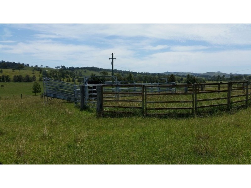 223 Hanleys Creek Road, Dungog NSW 2420