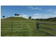 223 Hanleys Creek Road, Dungog NSW 2420