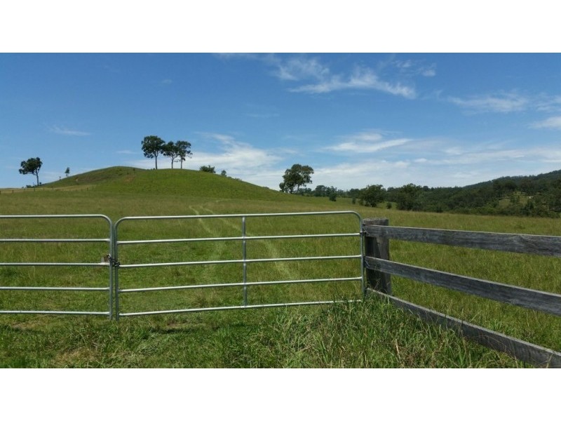 223 Hanleys Creek Road, Dungog NSW 2420