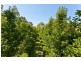 8 Bangalay Close, Brandy Hill NSW 2324
