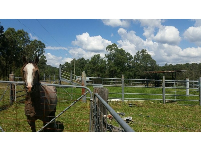 114 Black Camp Road, Stroud NSW 2425