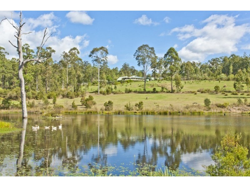 341 Alderley Lane, Stroud NSW 2425