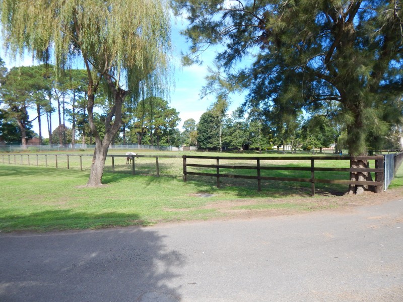 65 Sturgeon St, Raymond Terrace NSW 2324
