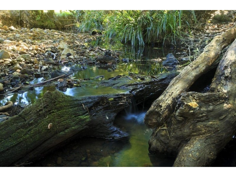 1368 Mill Creek Road, Stroud NSW 2425