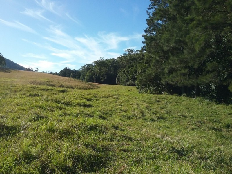 1368 Mill Creek Road, Stroud NSW 2425