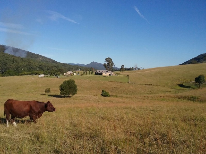 1368 Mill Creek Road, Stroud NSW 2425