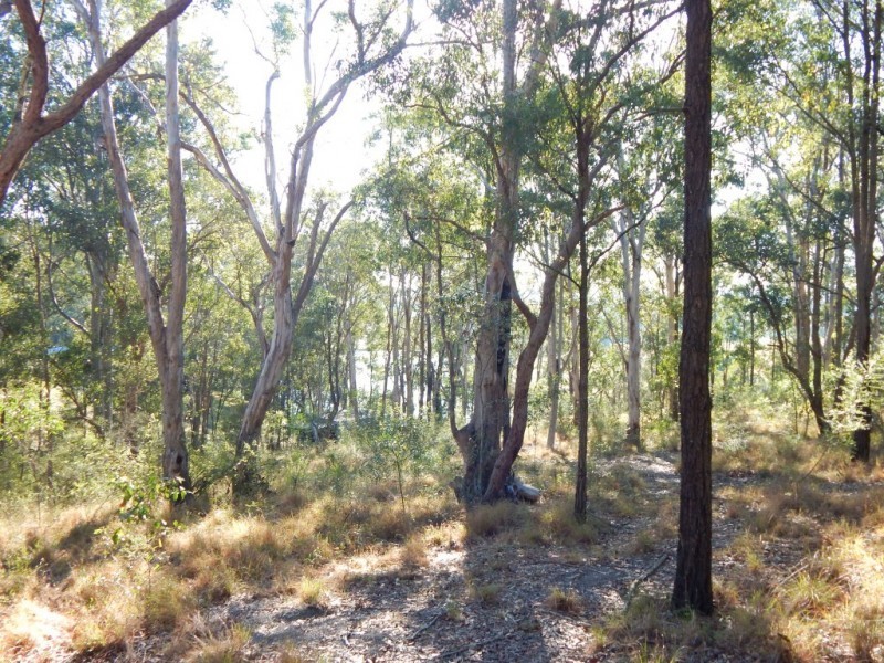 94 Grey Street, Clarence Town NSW 2321