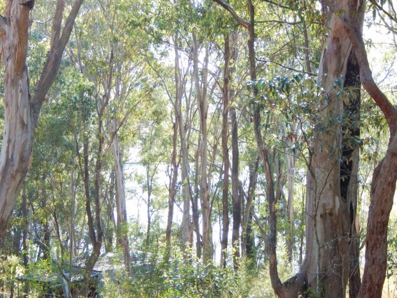 94 Grey Street, Clarence Town NSW 2321