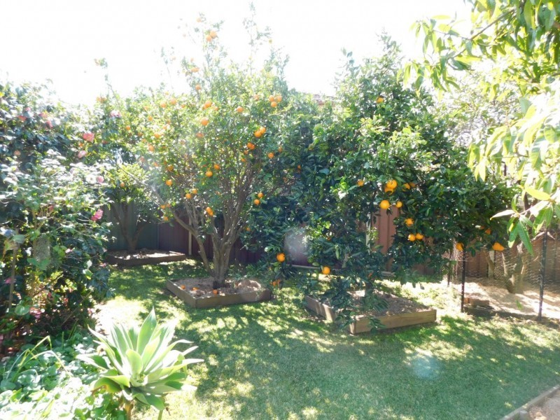 7 Hospital Hill Court, Raymond Terrace NSW 2324