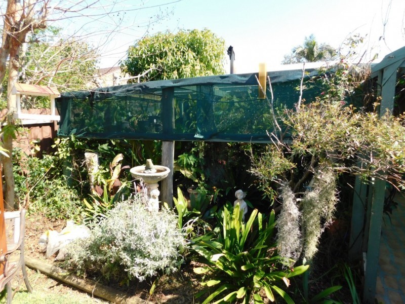 7 Hospital Hill Court, Raymond Terrace NSW 2324